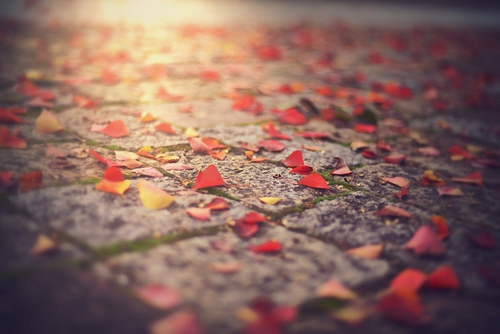 清晨勵(lì)志掙錢的句子