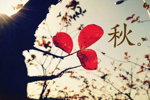 教師節(jié)祝福老師的歌曲有哪些 教師節(jié)祝福老師的歌曲有哪些