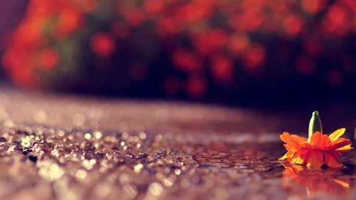 別人幫忙了之后的感謝短信