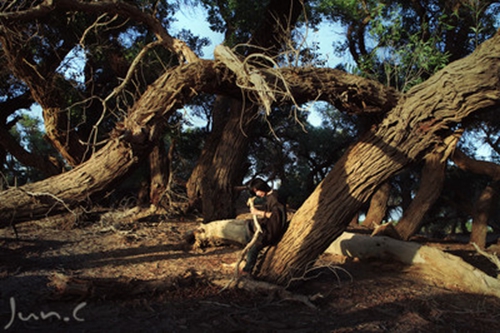 女孩子取名適合用哪些字射手座 女孩子取名適合用哪些字射手座