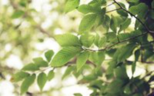 蔣偉周名字好不好(蔣周取名) 蔣偉周名字好不好(蔣周取名)