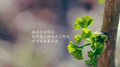 15句要的的春節(jié)祝福 15句要的的春節(jié)祝福