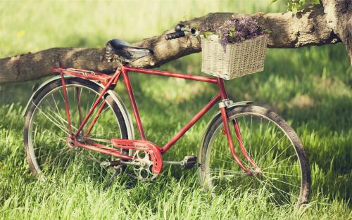 適合晚上發(fā)的愛情說說暖心大全短句 適合晚上發(fā)的愛情說說暖心大全短句