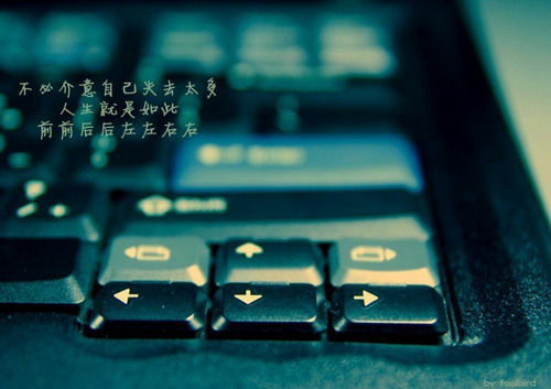 送給助教的新年祝福語(yǔ)