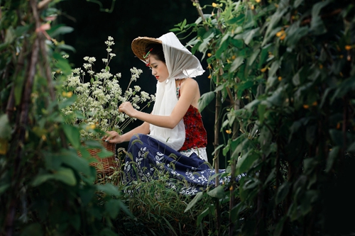 春節(jié)給家里人拜年短信 春節(jié)給家里人拜年短信