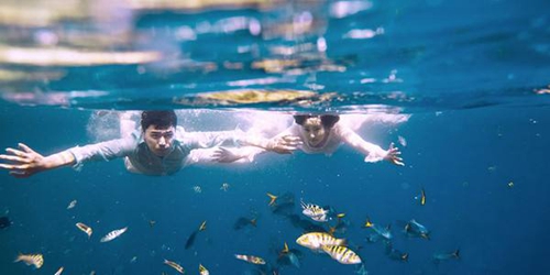 單證員考試祝福語簡短 單證員考試祝福語簡短