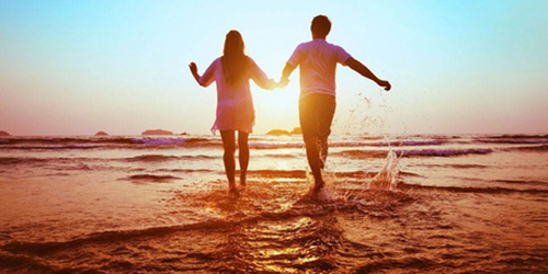 植樹(shù)的文案