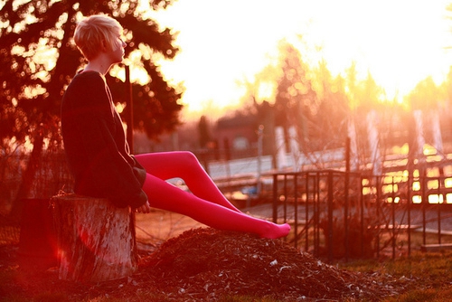 描寫紅豆杉的句子 描寫紅豆杉的句子