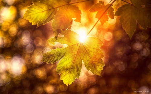 出生小寶滿月酒祝福語