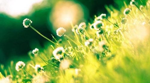 可有可無 可有可無