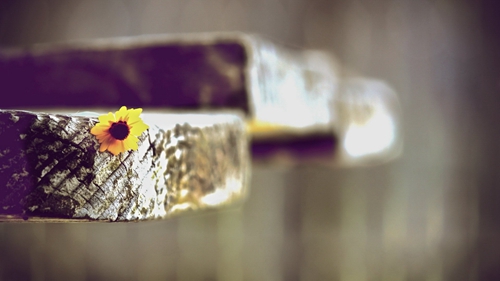 2025結(jié)婚最火文案短句俏皮 2025結(jié)婚最火文案短句俏皮