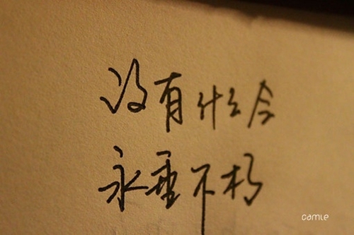 向女朋友求婚告白的話語 向女朋友求婚告白的話語