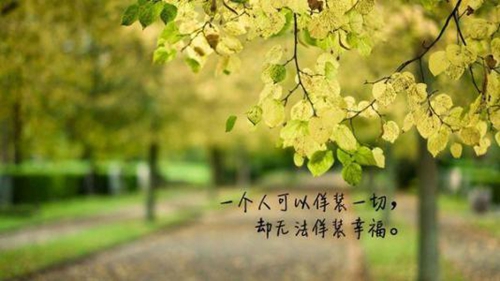 寫給傻夢、悲妓、麓殤、柔骨、歡脫的情話