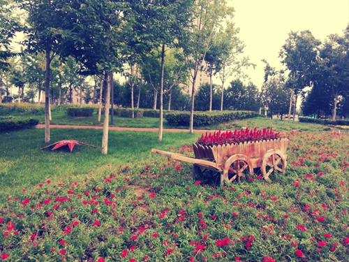 暖心情話精選女生