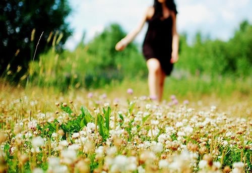 土味情話大全撩妹情人節(jié)