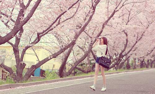 關(guān)于努力的好詞好句作文