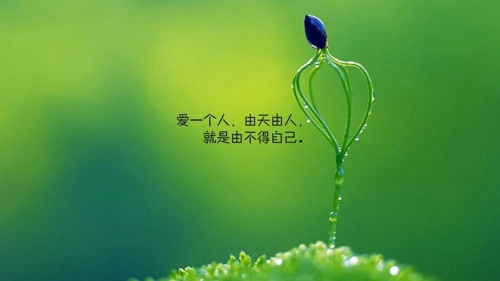 英文翻譯的古文情話短句暖心